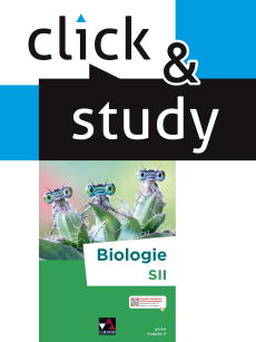 033021 click & study SII