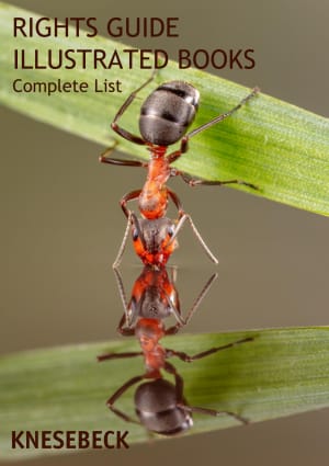 Rights Guide Illustrated Books - Fall 2025