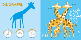 Innenansicht Doppelseite mit farbiger Illustration von Giraffen