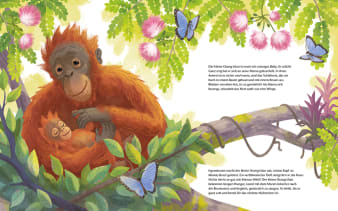 Innenansicht Doppelseite mit farbiger Illustration von Orang-Utan-Kind mit Mama