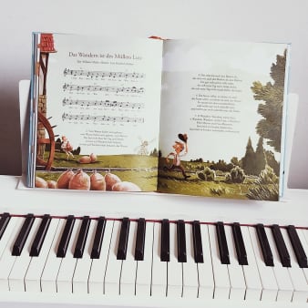 Innenansicht Doppelseite mit farbiger Illustration eines Baums und Blätter