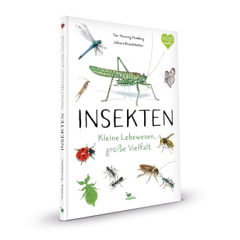 Cover, verschiedene Insekten auf weißem Hintergrund, Marienkäfer, Heuschrecke, Libelle, Schmetterling, Vespe