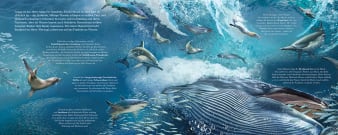 Innenseite, Unterwasserwelt mit unterschiedlichen Tierarten in ihrem Lebensraum