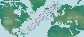 Innenseite, Landkarte