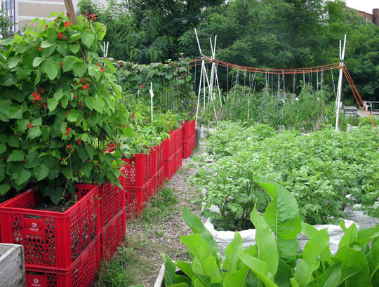 Daf Idee Des Tages Der Prinzessinnengarten In Berlin