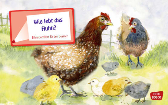 Wie lebt das Huhn? eKami.