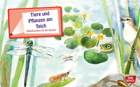 Tiere und Pflanzen am Teich. eKami.