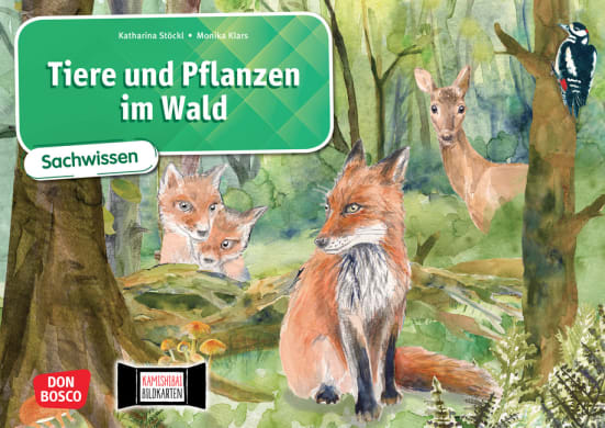 Tiere und Pflanzen im Wald. Kamishibai Bildkartenset