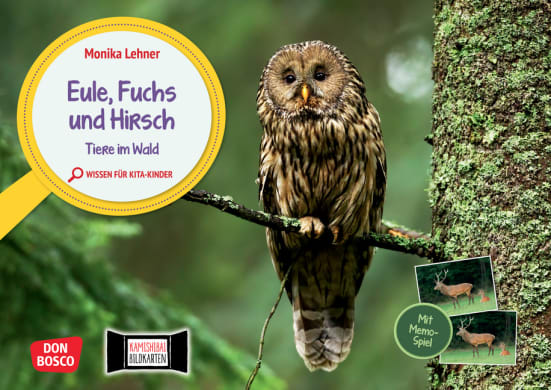 Eule, Fuchs und Hirsch. Tiere im Wald