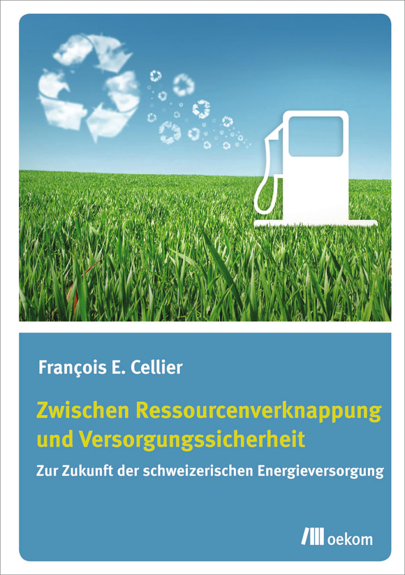 Cover: Zwischen Ressourcenverknappung und Versorgungssicherheit