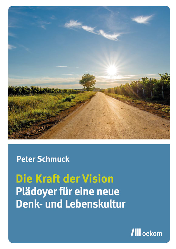 Cover: Die Kraft der Vision