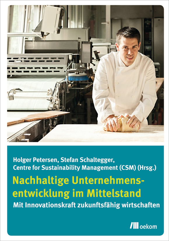 Cover: Nachhaltige Unternehmensentwicklung im Mittelstand