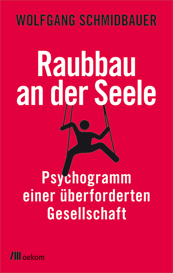 Cover: Raubbau an der Seele