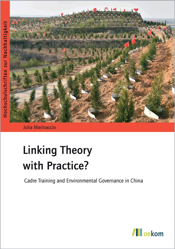 Cover: Linking Theory with Practice?