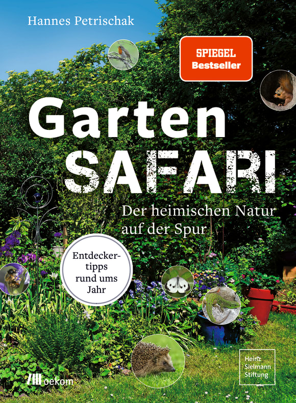 Cover: Gartensafari