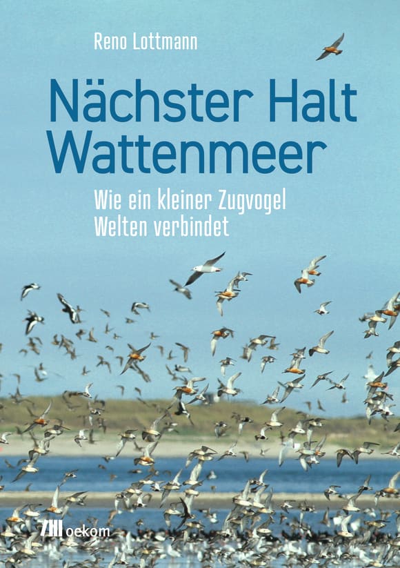 Cover: Nächster Halt Wattenmeer