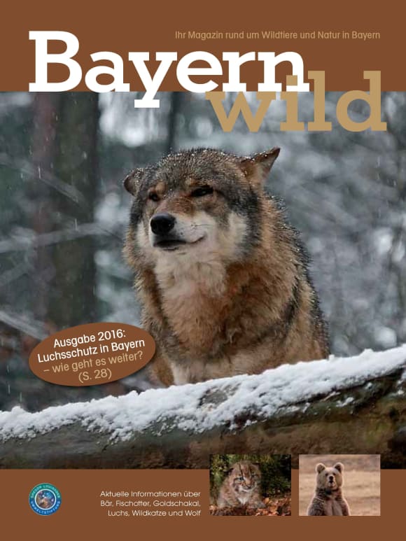 Cover: Bayern wild