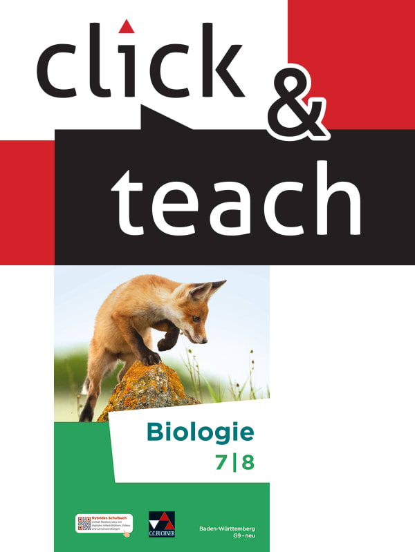 030462 click & teach 7/8
