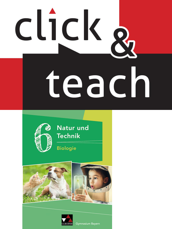 660161 click & teach 6