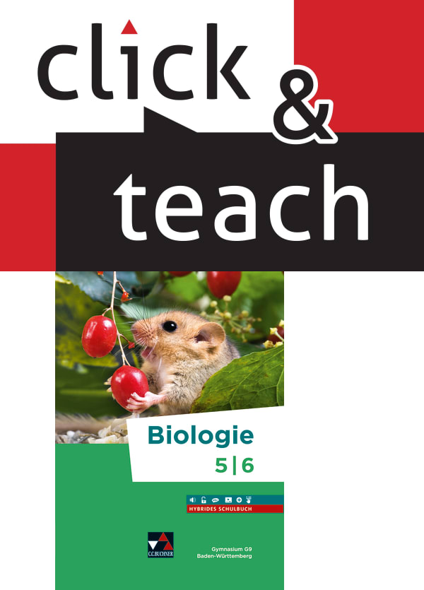 030452 click & teach 5/6