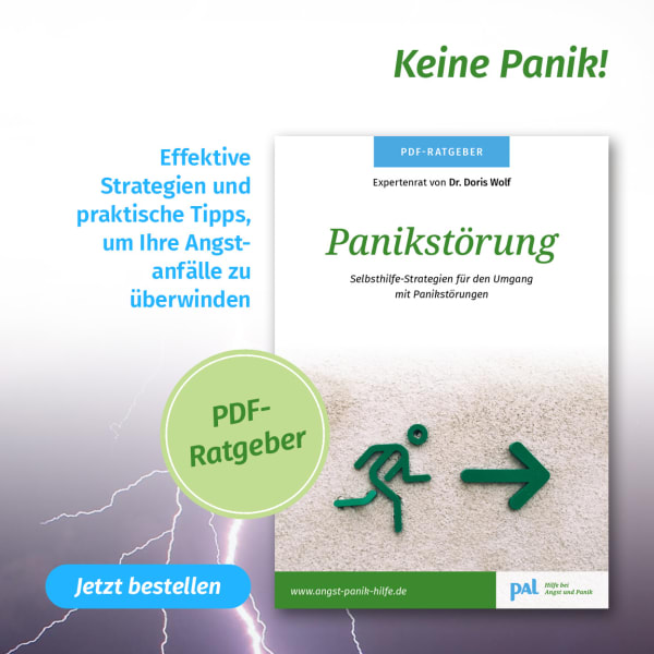 Angst Panik Hilfe Rat Und Hilfe Pal Verlag