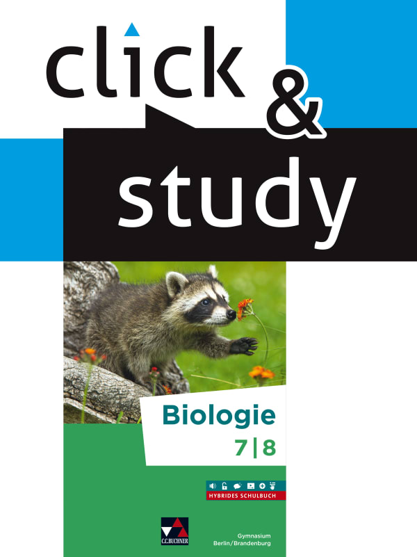 030411 click & study 7/8