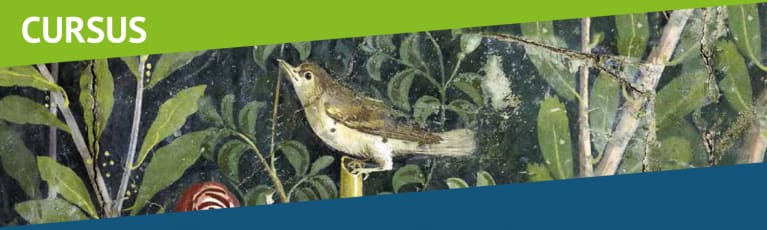 CURSUS - Neue Ausgabe CURSUS - Neue Ausgabe