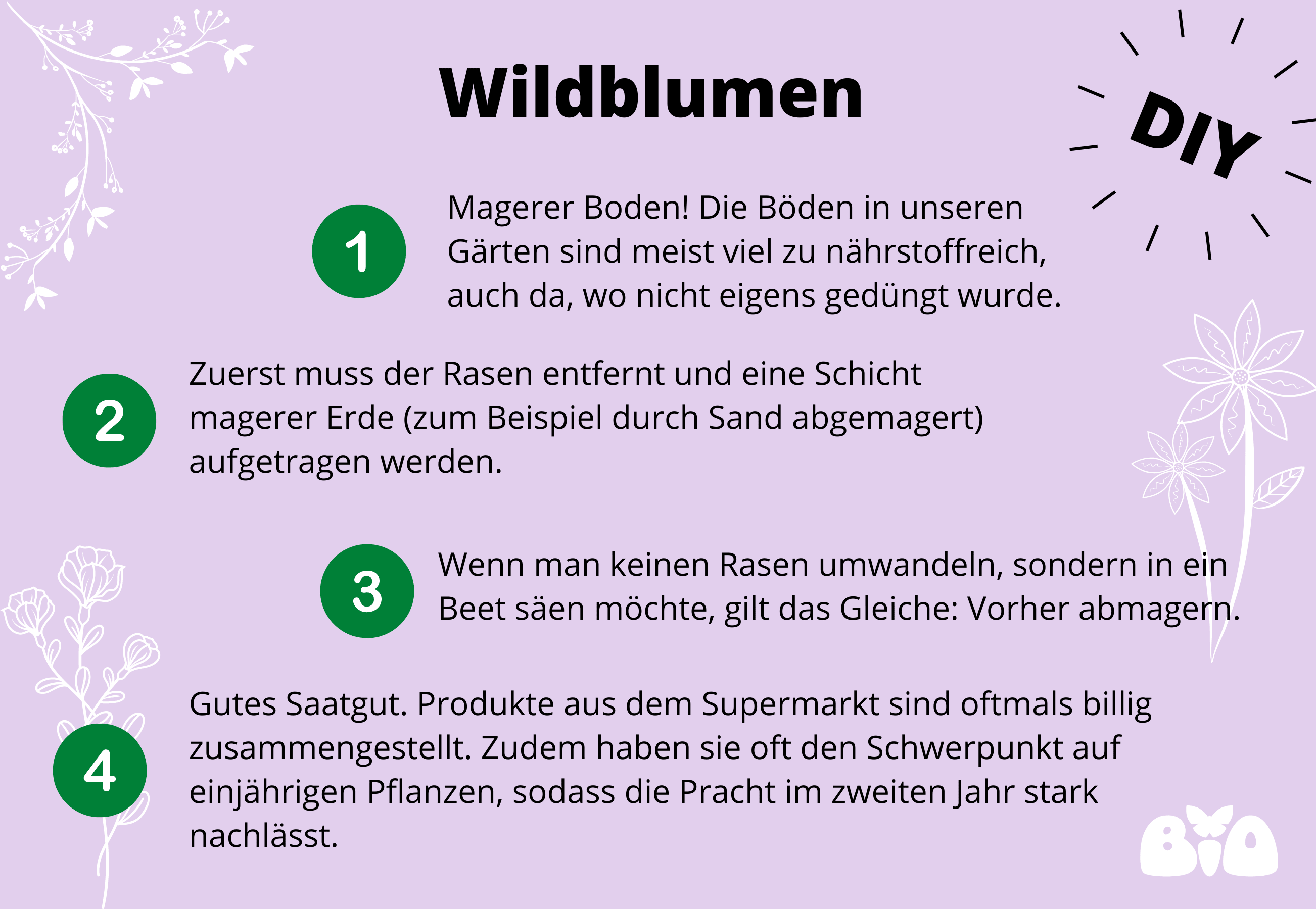 Garten: Anleitung Wildblumen sähen