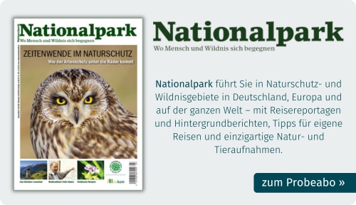 Probeabo der Zeitschrift Nationalpark - Wo Mensch und Wildnis sich begegnen