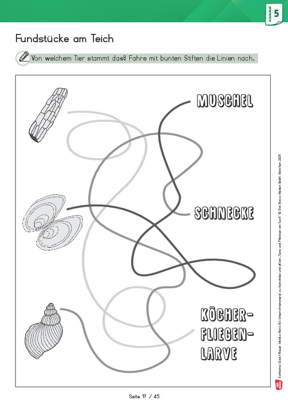 Grundschule Sachunterricht. ArbeitsmaterialDownload