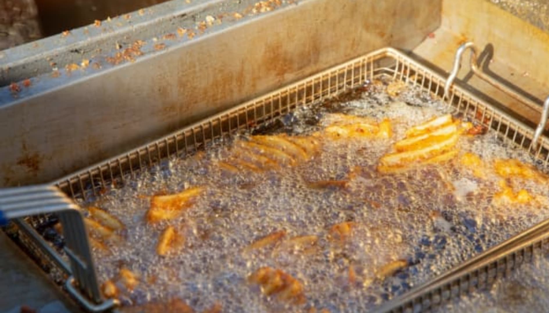 BfR-Informationen zu STEC/EHEC-Infektionen durch Lebensmittel aktualisiert