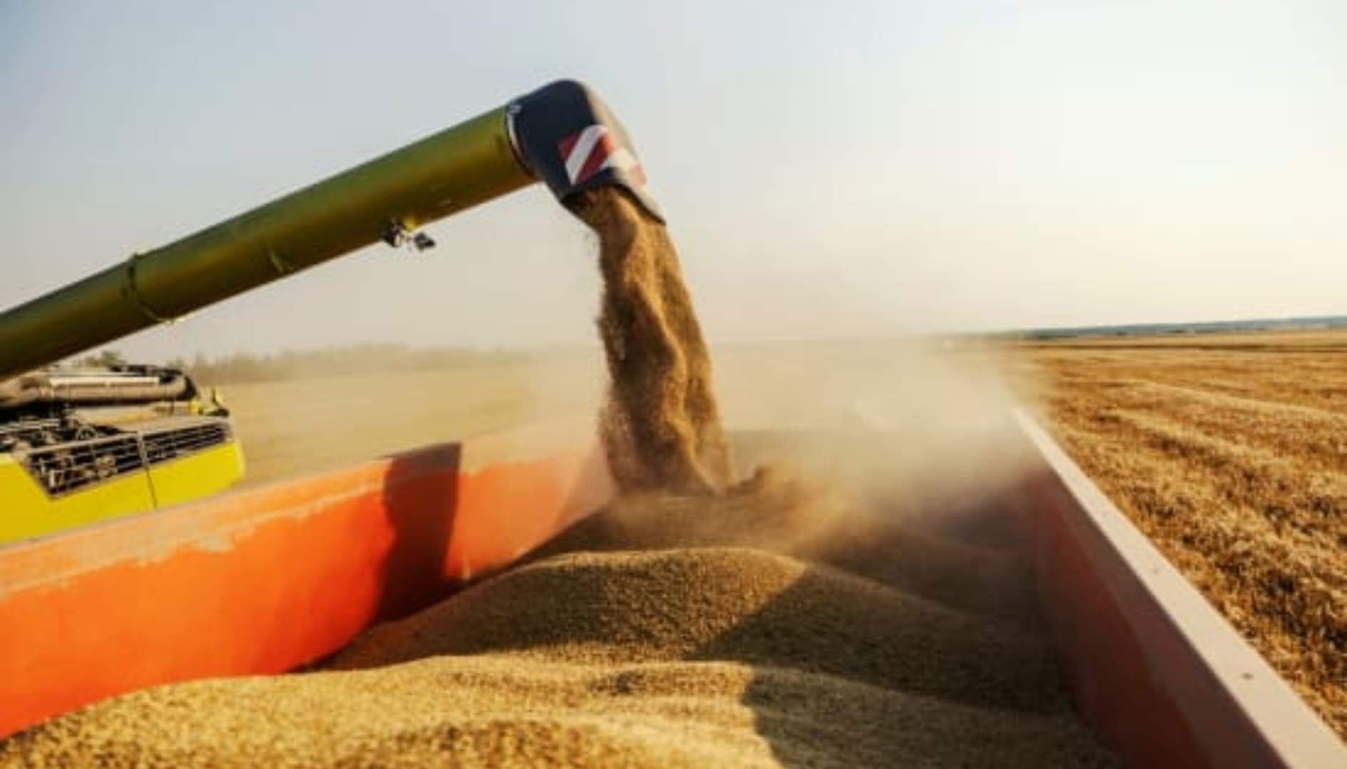 Küchenutensilien aus Metall – können Stoffe ins Essen übergehen?