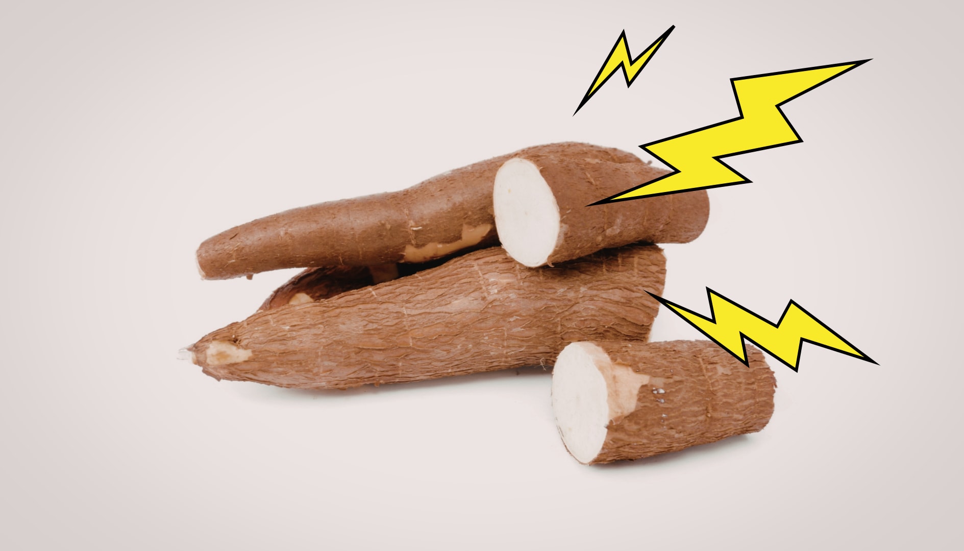 Genmodifizierte Pflanzenvariante zeigt sich trockenheitsresistent und verspricht höhere Ernten