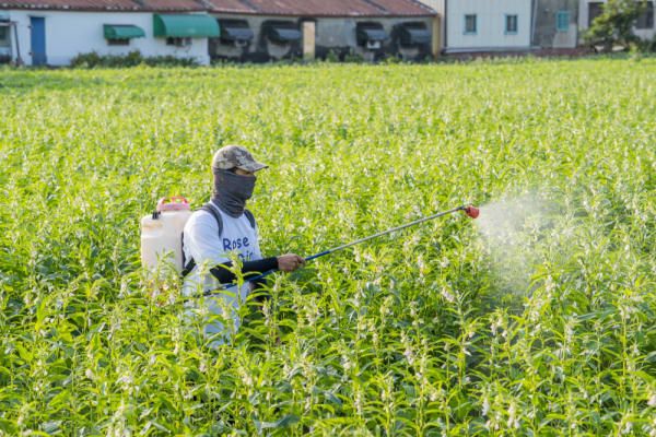 Vorläufige gesundheitsbasierte Referenzwerte für 2-Chlorethanol abgeleitet