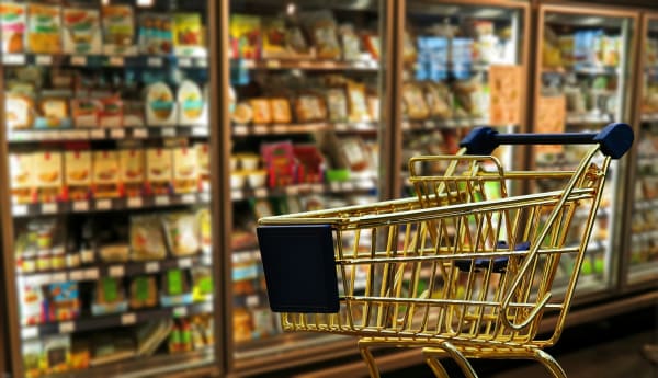 Ernährungsreport 2019 vorgestellt