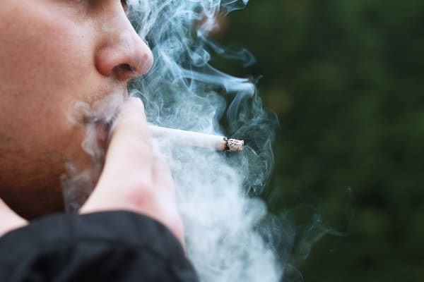 Auffällige Proben: Wie kommt Nikotin auf Lebensmittel?