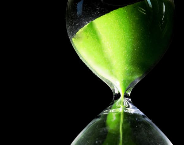 EU verbietet Pflanzenschutzmittel Chlorpyrifos