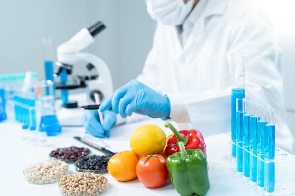 Zur Bedeutung der lebensmittelchemischen Ausbildung