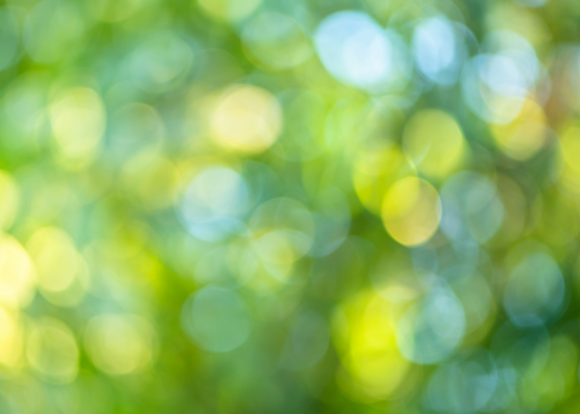 Abstrakter Hintergrund mit unscharfen, kreisförmigen Bokeh-Lichtern in Grün-, Gelb- und Blautönen.