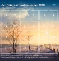 www.palverlag.de