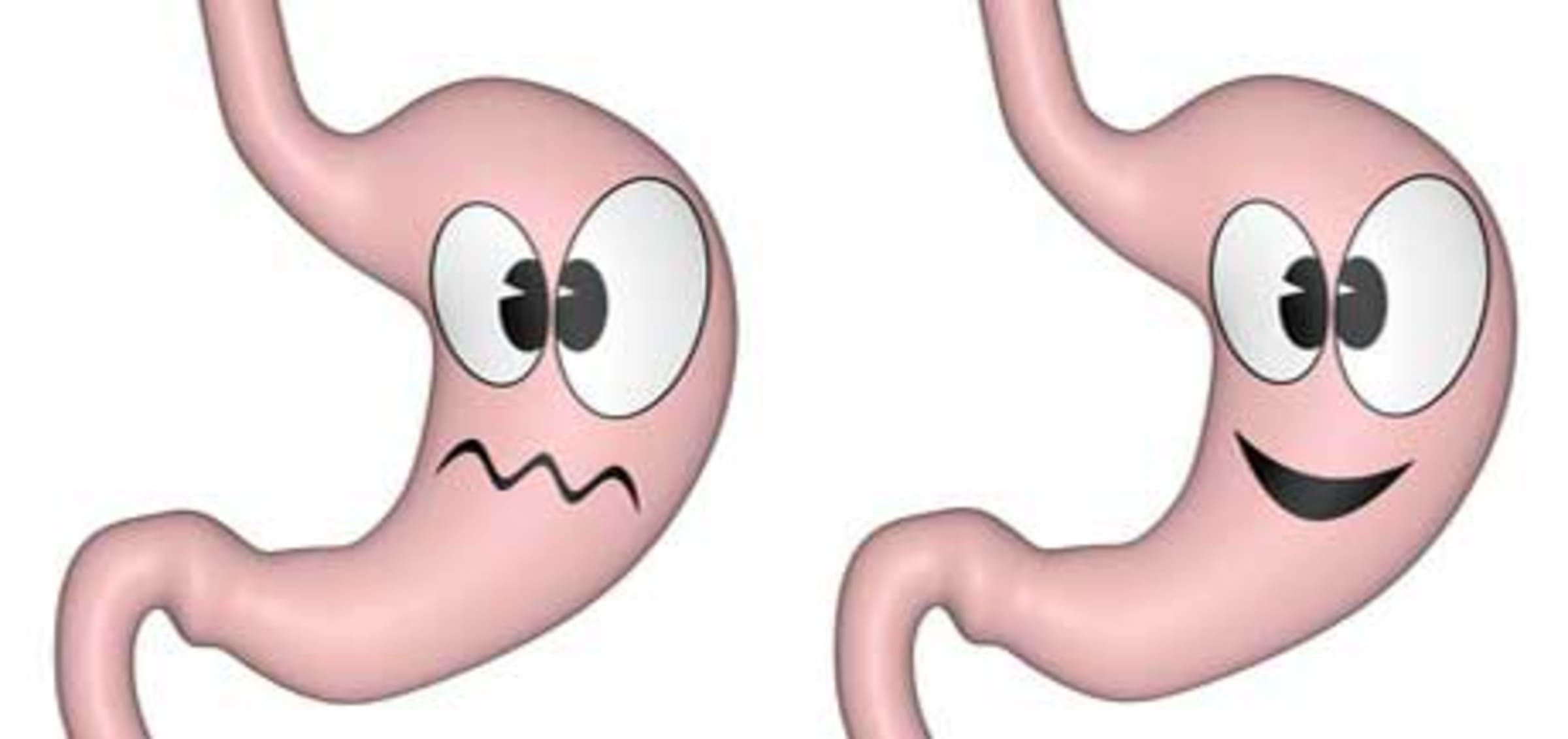 Lebensweisheit in der Geschichte vom Aufstand der Organe