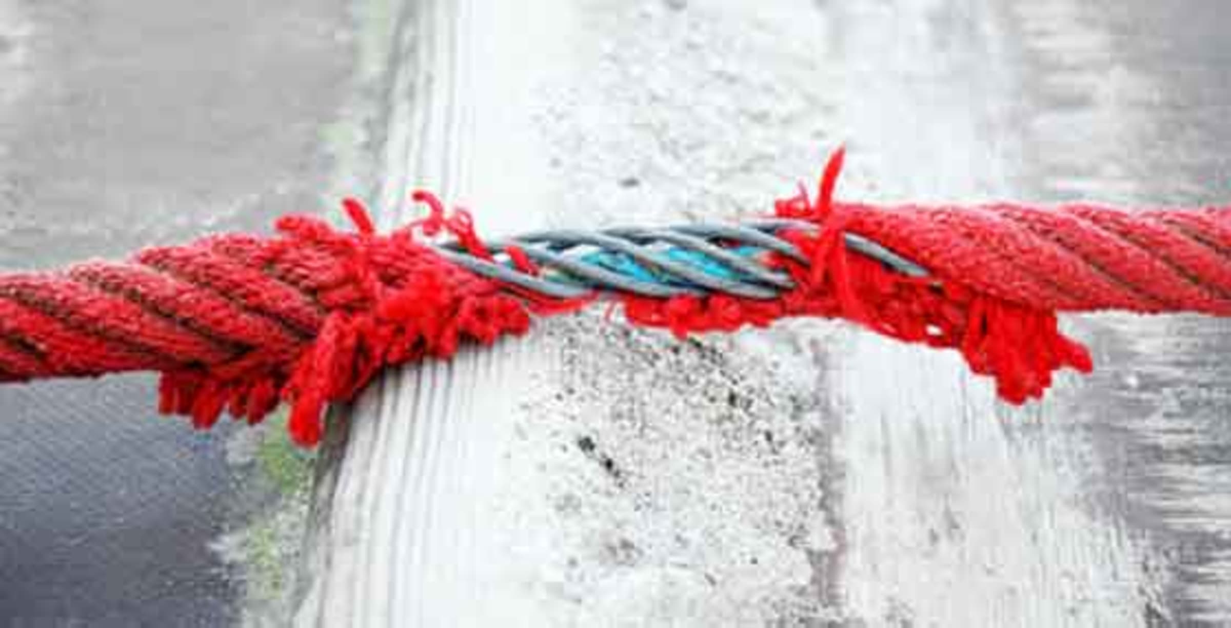 Warum manche Menschen sehr sensibel und zartbesaitet sind