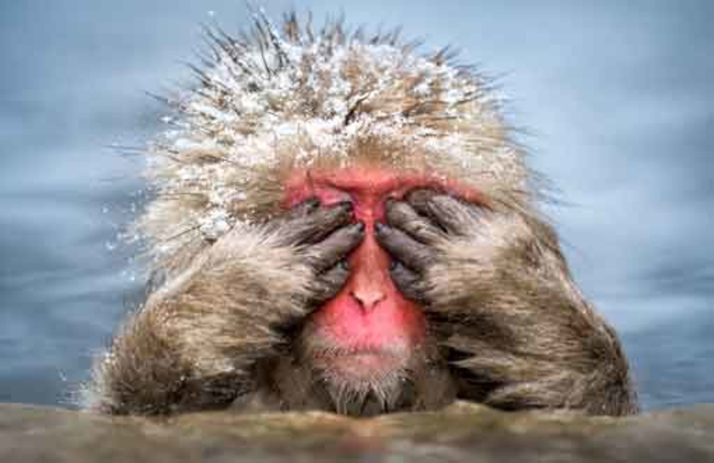 Selbstaufopferung ist keine Tugend