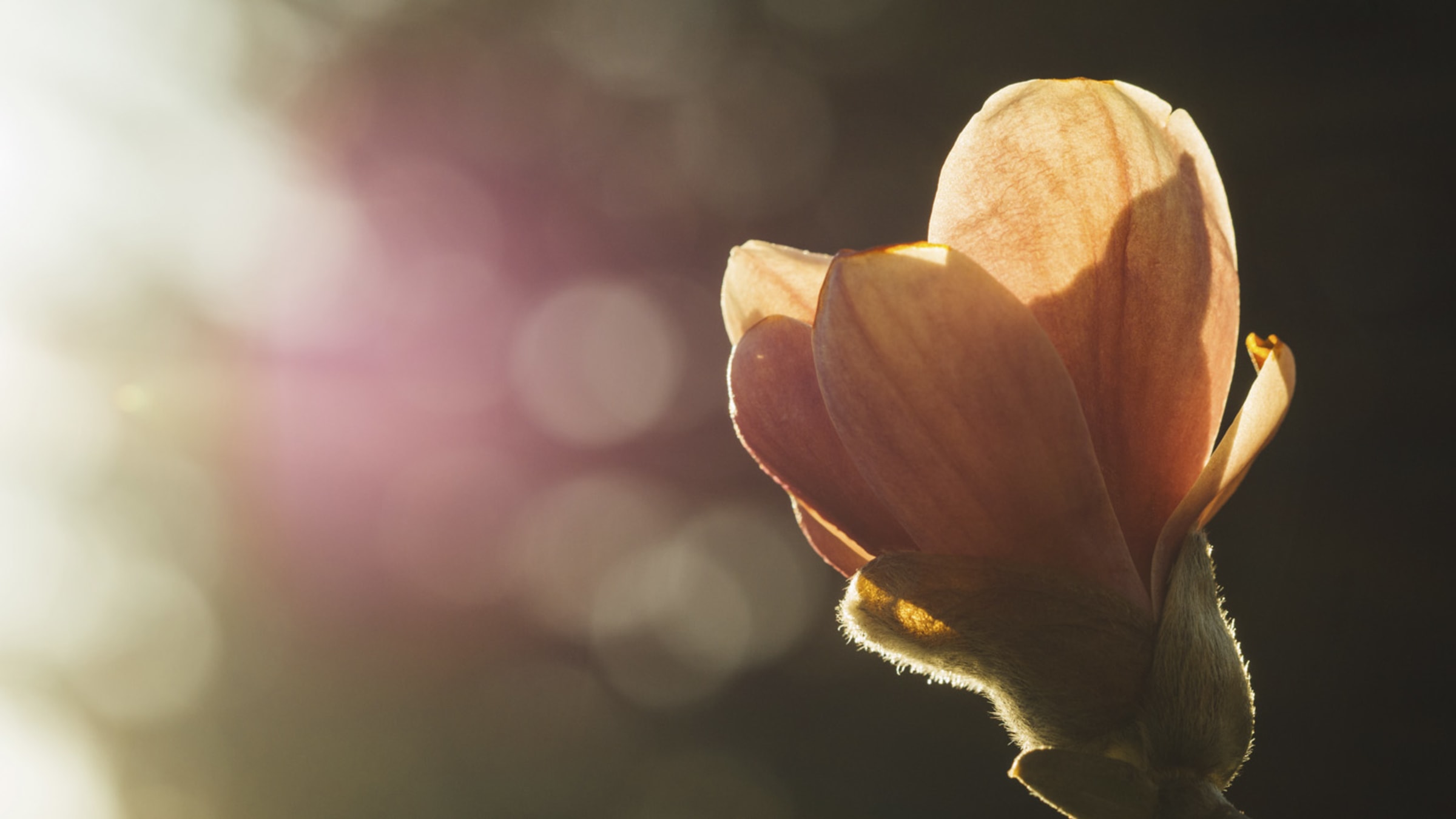 Die Kraft von Hoffnung und Zuversicht