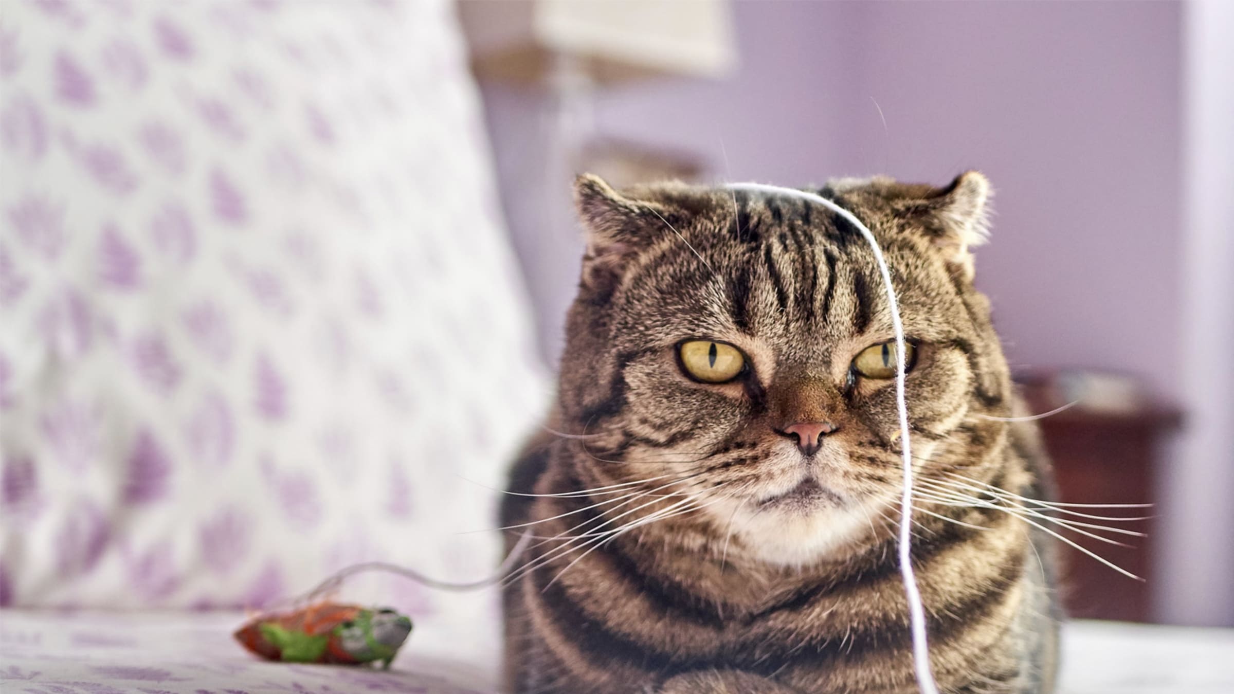 Langeweile - wenn du nichts mit dir und deiner Zeit anzufangen weißt