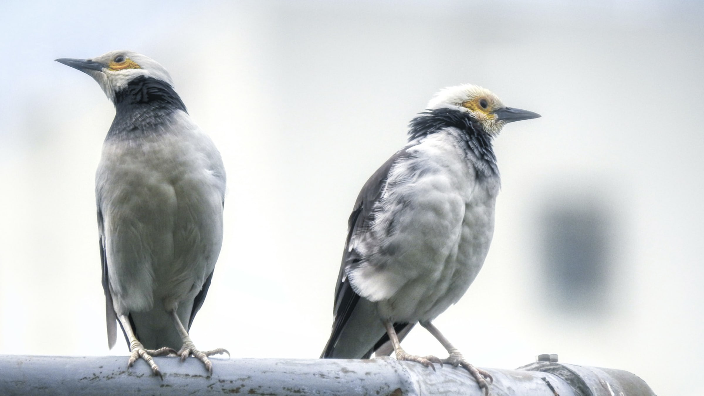 Verhaltensweisen, die zu Beziehungsproblemen und Beziehungskrisen führen