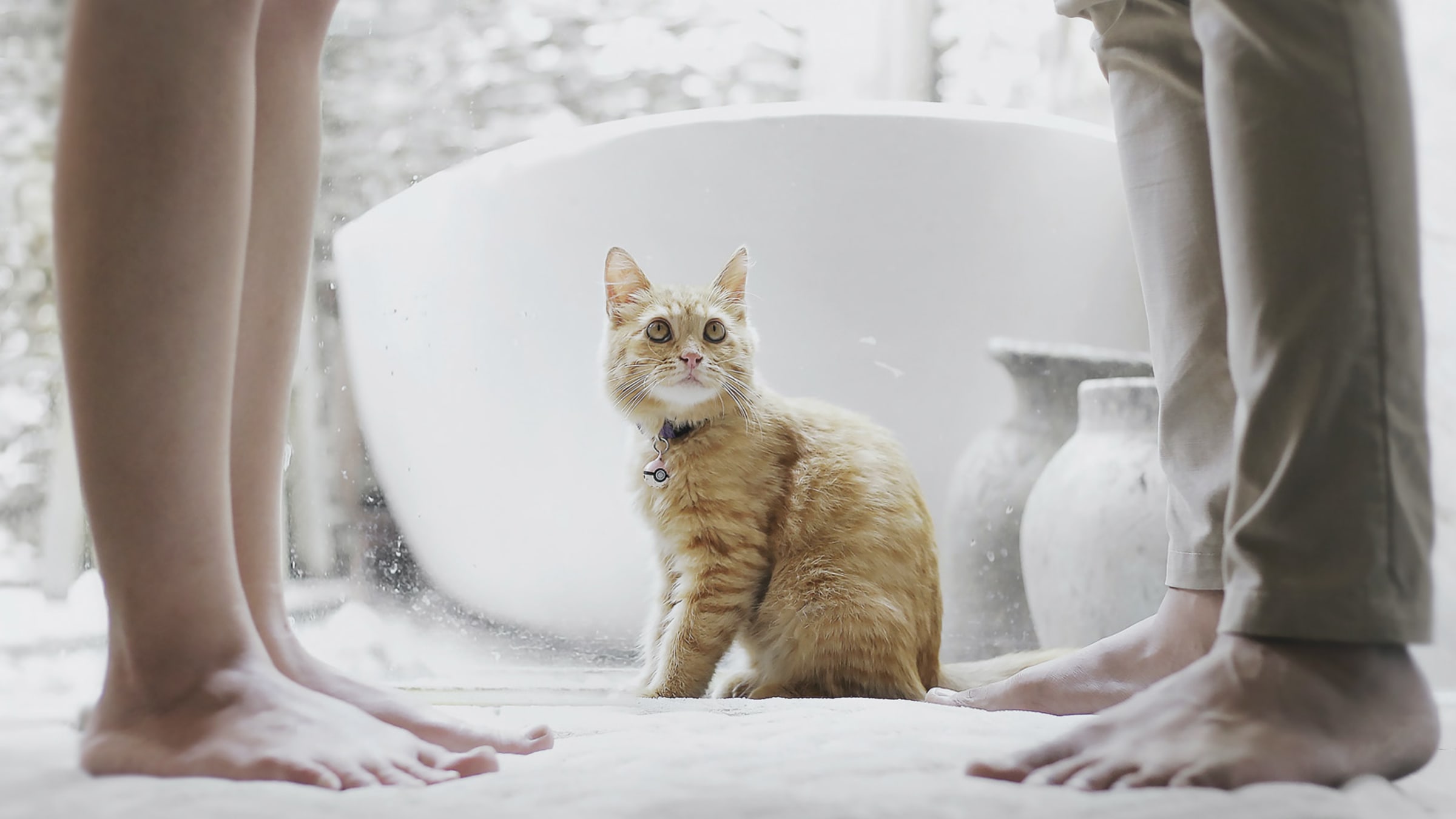 Gründe, die gegen eine Trennung sprechen könnten.