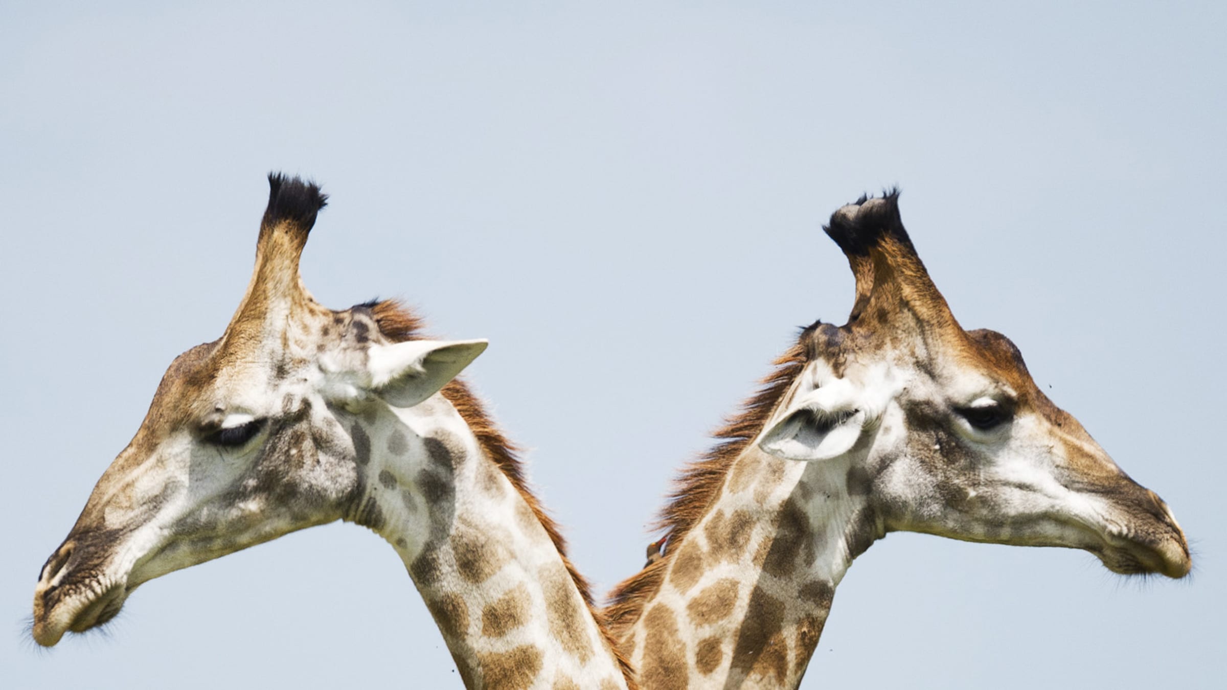 Schweigen – wenn man sich nichts mehr zu sagen hat