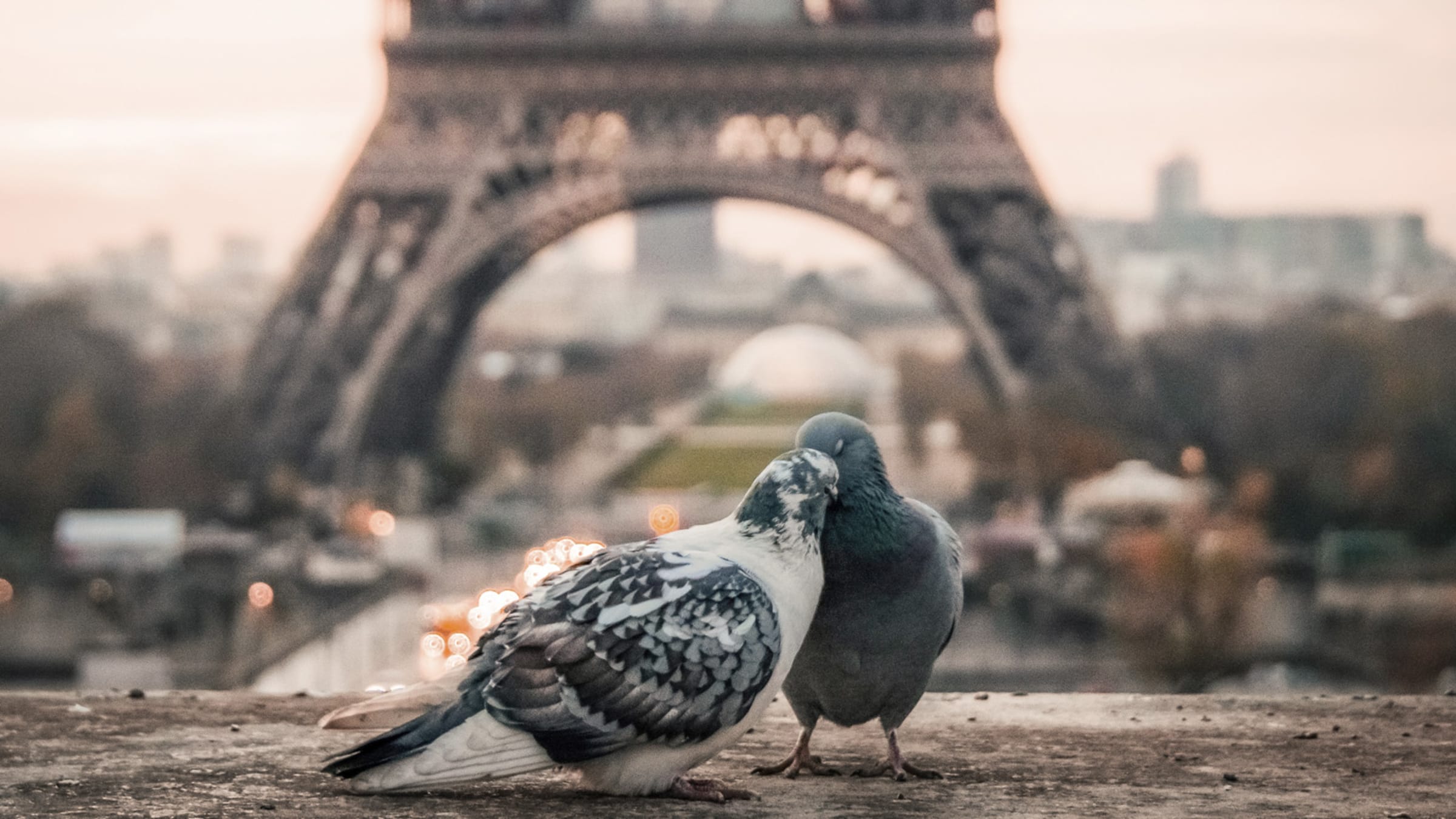 Wenn Liebe so einfach wäre ... 7 Tipps für eine stabile und glückliche Partnerschaft 