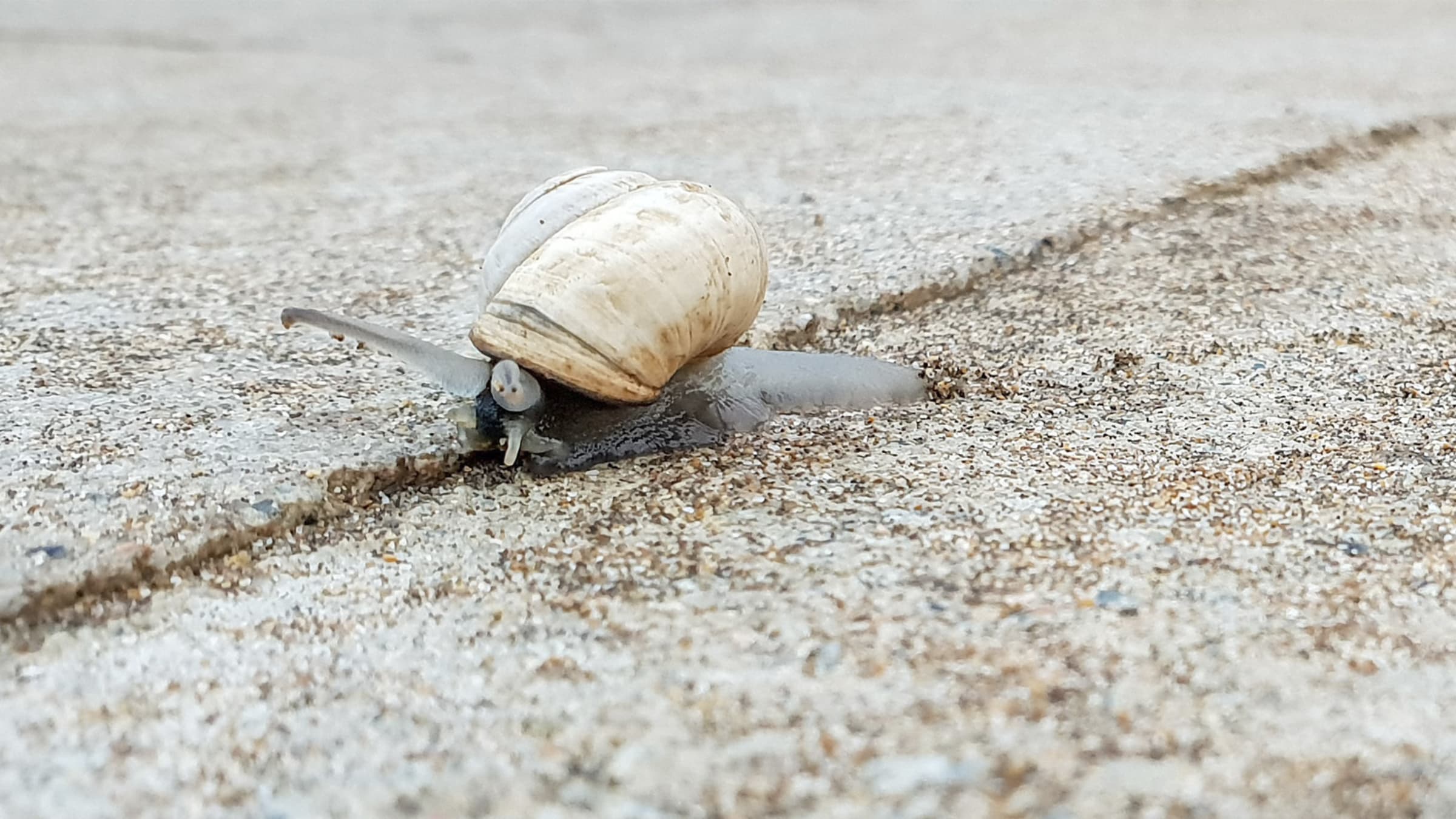 Sorgen und quälende Gedanken überwinden
